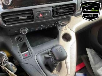 Opel Combo Combo Cargo, Van, 2018 1.5 CDTI 100 picture 18