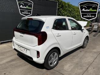 Kia Picanto Picanto (JA), Hatchback, 2017 1.0 DPI 12V picture 10