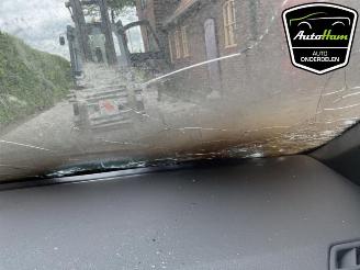 Volkswagen Polo Polo VI (AW1), Hatchback 5-drs, 2017 1.0 TSI 12V picture 14