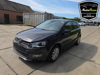 Volkswagen Polo Polo V (6R), Hatchback, 2009 / 2017 1.2 12V BlueMotion Technology picture 5