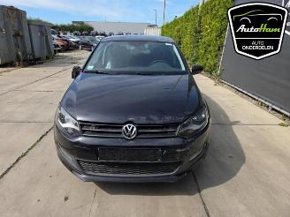 Volkswagen Polo Polo V (6R), Hatchback, 2009 / 2017 1.2 12V BlueMotion Technology picture 4