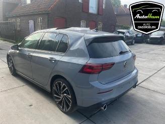 Volkswagen Golf Golf VIII (CD1), Hatchback, 2019 2.0 GTI 16V picture 8