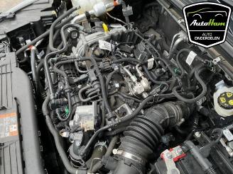 Ford Focus Focus 4 Wagon, Combi, 2018 1.0 EcoBoost 12V Hybrid 155 picture 22