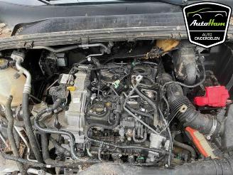 Ford Puma Puma, SUV, 2019 1.0 Ti-VCT EcoBoost Hybrid 12V picture 12