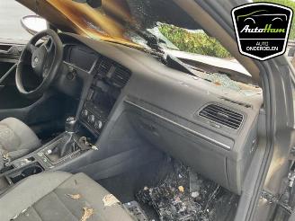 Volkswagen Golf Golf VII (AUA), Hatchback, 2012 / 2021 2.0 TDI 150 16V picture 21