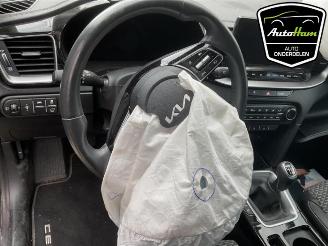 Kia Cee d Ceed Sportswagon (CDF), Combi 5-drs, 2018 1.0i T-GDi 12V picture 14