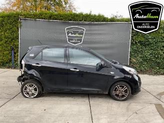  Kia Picanto Picanto (TA), Hatchback, 2011 / 2017 1.0 12V 2015/1