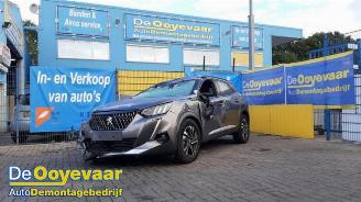 Peugeot 2008 2008 (UD/UK/UR/US/UX), MPV, 2019 1.2 VTi 12V PureTech 130 picture 6