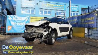 Citroën C4 cactus C4 Cactus (0B/0P), Hatchback 5-drs, 2014 1.6 Blue Hdi 100 picture 5