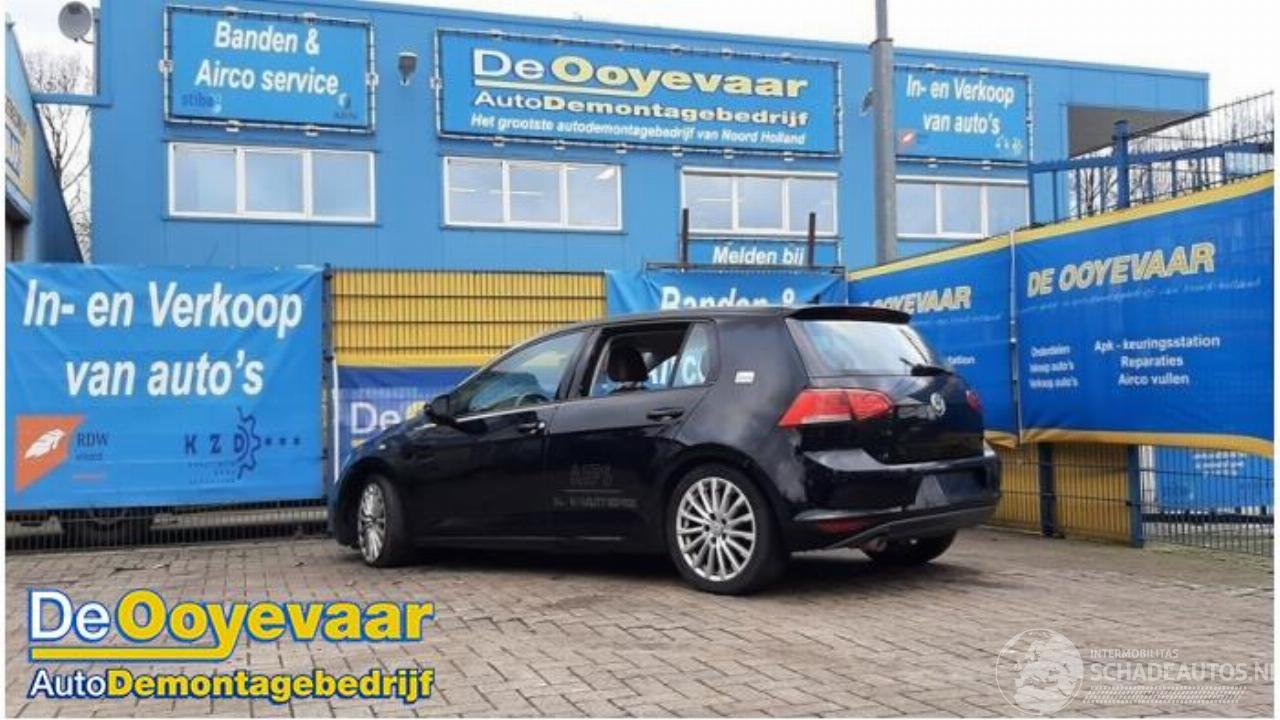 Volkswagen Golf Golf VII (AUA), Hatchback, 2012 / 2021 1.6 TDI 16V