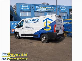 Fiat Ducato Ducato (250), Van, 2006 2.3 D 120 Multijet AdBlue picture 3