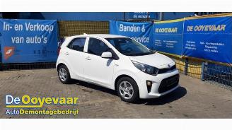 demontáž osobní automobily Kia Picanto Picanto (JA), Hatchback, 2017 1.0 12V 2019/11