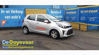 Auto da rottamare Kia Picanto Picanto (JA), Hatchback, 2017 1.0 DPI 12V 2024/2