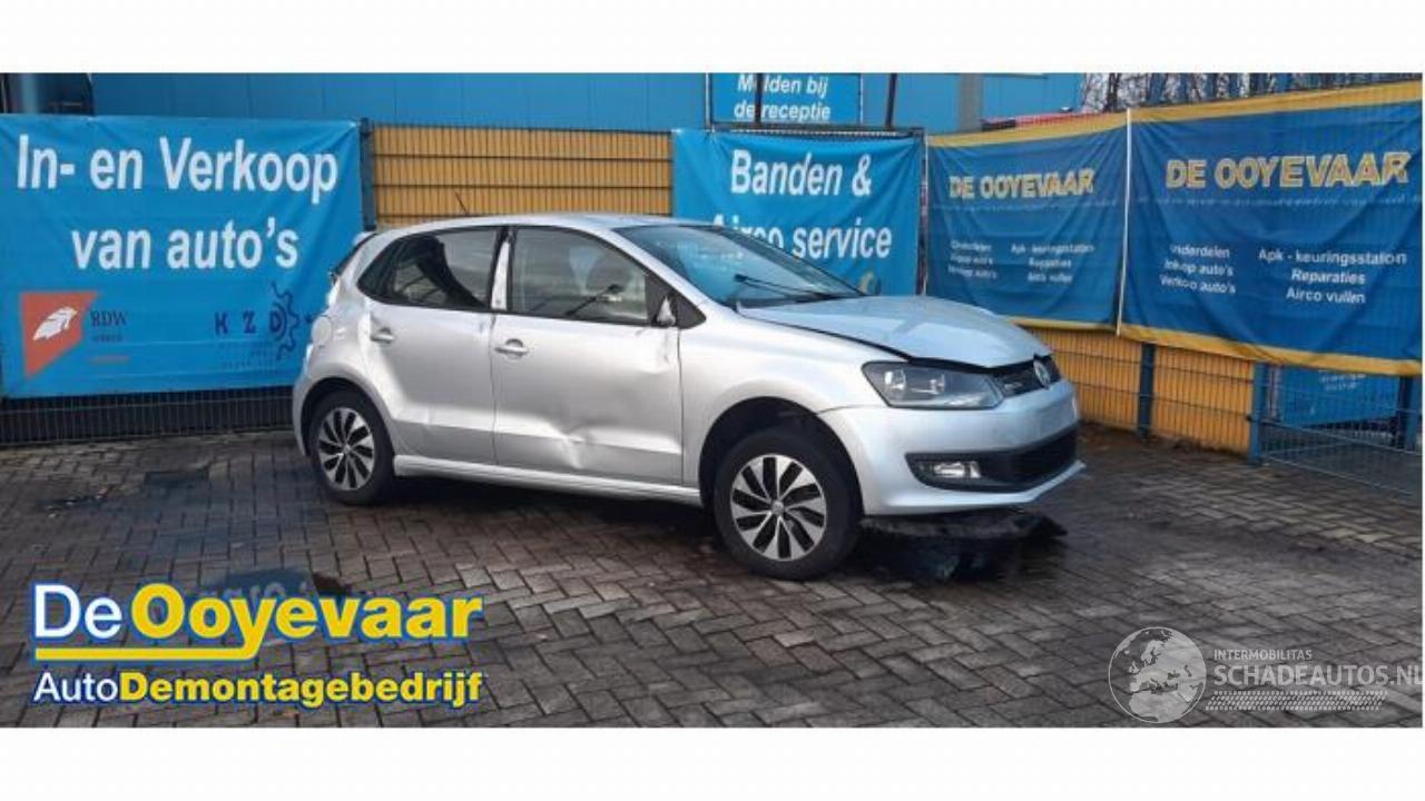 Volkswagen Polo Polo V (6R), Hatchback, 2009 / 2017 1.0 TSI 12V BlueMotion