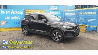 Démontage voiture Volvo XC40 XC40 (XZ), SUV, 2017 2.0 D3 16V 2020/6