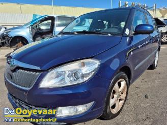 Sloopauto Skoda Fabia Fabia II Combi, Combi 5-drs, 2007 / 2015 1.2 TDI 12V Greenline 2010/10
