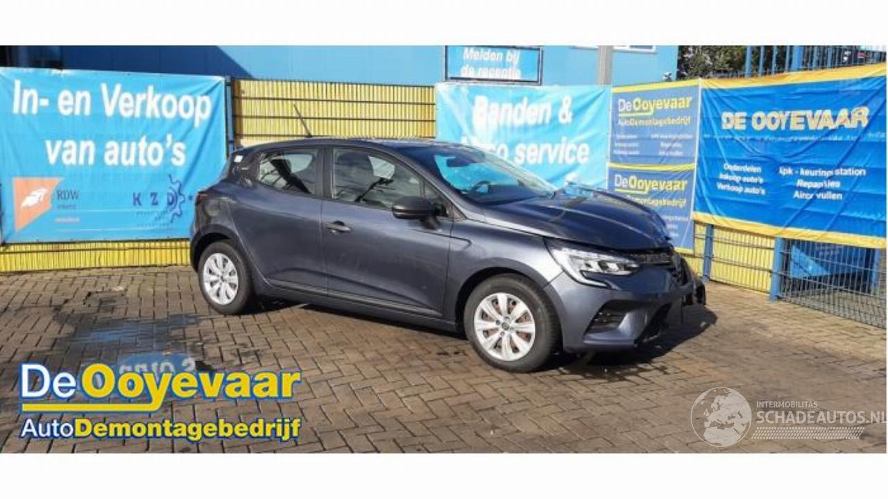 Renault Clio Clio V (RJAB), Hatchback 5-drs, 2019 1.0 TCe 100 12V