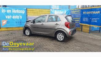 Kia Picanto Picanto (JA), Hatchback, 2017 1.0 12V picture 3