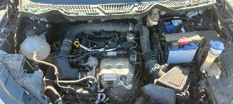 Ford EcoSport Ford EcoSport Cool & Connect navi camera picture 13