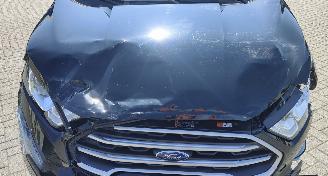 Ford EcoSport Ford EcoSport Cool & Connect navi camera picture 6