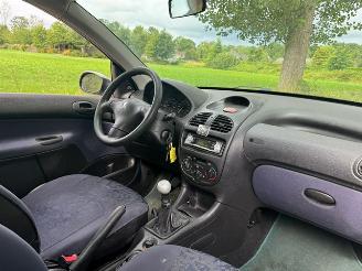 Peugeot 206  picture 5