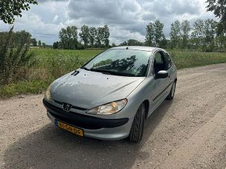 Peugeot 206  picture 9