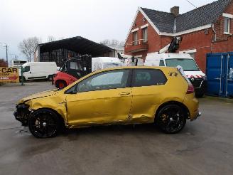 Volkswagen Golf R-TYPE picture 8