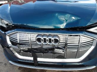 Audi E-tron 55 QUATRO picture 12