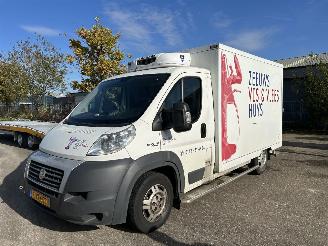 skadebil bedrijf Fiat Ducato 2.3 MULTIJET KOEL / VRIES AUTO 2012/7