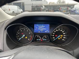 Ford Focus 1.0 EcoBoost Titanium picture 13