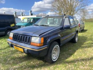 Damaged car Jeep Grand-cherokee 5.2I V8 AUTOMAAT AIRCO, 4WD, 4X4 1993/2