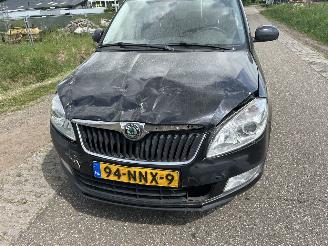 Skoda Fabia 1.2 TDI Greenline airco picture 32