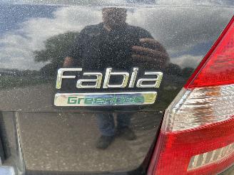 Skoda Fabia 1.2 TDI Greenline airco picture 20
