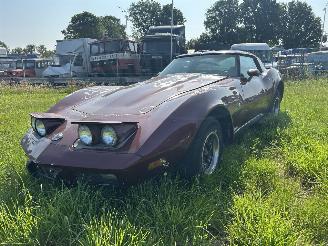škoda osobní automobily Chevrolet Corvette 5.7 V8 TARGA 1978/1