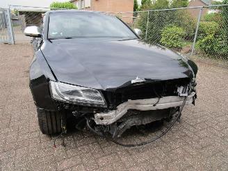 Audi S5 4.2 V8 Coupe Navi Clima picture 6