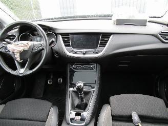 Opel Grandland X 1.2 T Navi Panodak Camera 6-Bak picture 16