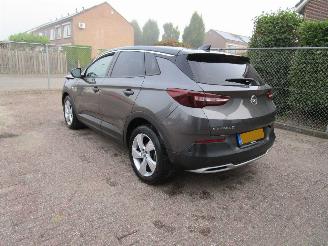 Opel Grandland X 1.2 T Navi Panodak Camera 6-Bak picture 2