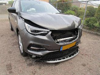 Opel Grandland X 1.2 T Navi Panodak Camera 6-Bak picture 8