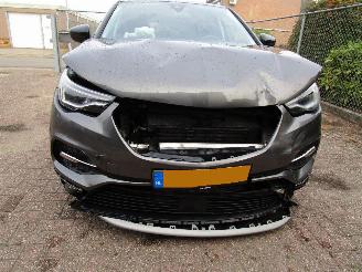 Opel Grandland X 1.2 T Navi Panodak Camera 6-Bak picture 7