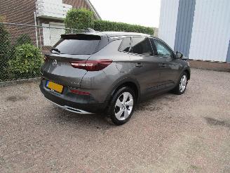 Opel Grandland X 1.2 T Navi Panodak Camera 6-Bak picture 4