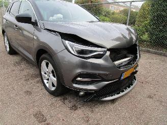 Opel Grandland X 1.2 T Navi Panodak Camera 6-Bak picture 9