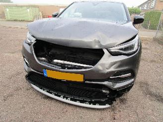 Opel Grandland X 1.2 T Navi Panodak Camera 6-Bak picture 6