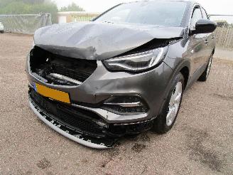 Opel Grandland X 1.2 T Navi Panodak Camera 6-Bak picture 5