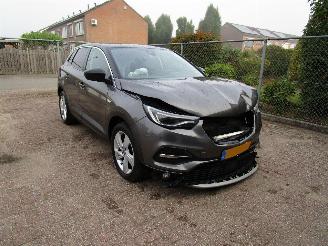 Opel Grandland X 1.2 T Navi Panodak Camera 6-Bak picture 3
