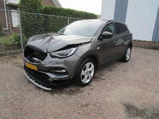  Opel Grandland X 1.2 T Navi Panodak Clima 6-Bak 2019/11