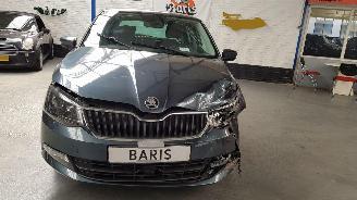 Skoda Fabia 1.2 TSI 16V AUT 4DRS  BENZ 1.197CC 81KW 110PK picture 2