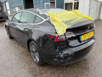 Tesla Model 3 Standard RWD Plus 60 kWh picture 2