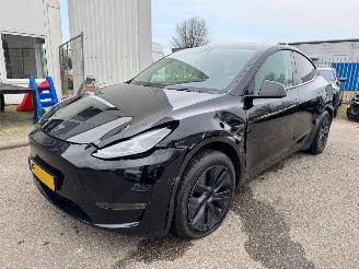  Tesla Model Y Long Range AWD 75 kWh 2024/11