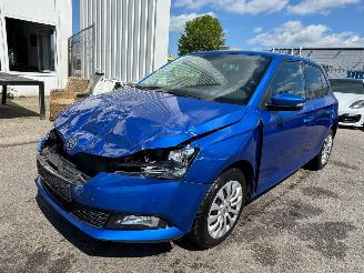 Avarii autoturisme Skoda Fabia 1.0 TSI Ambition 2021/1