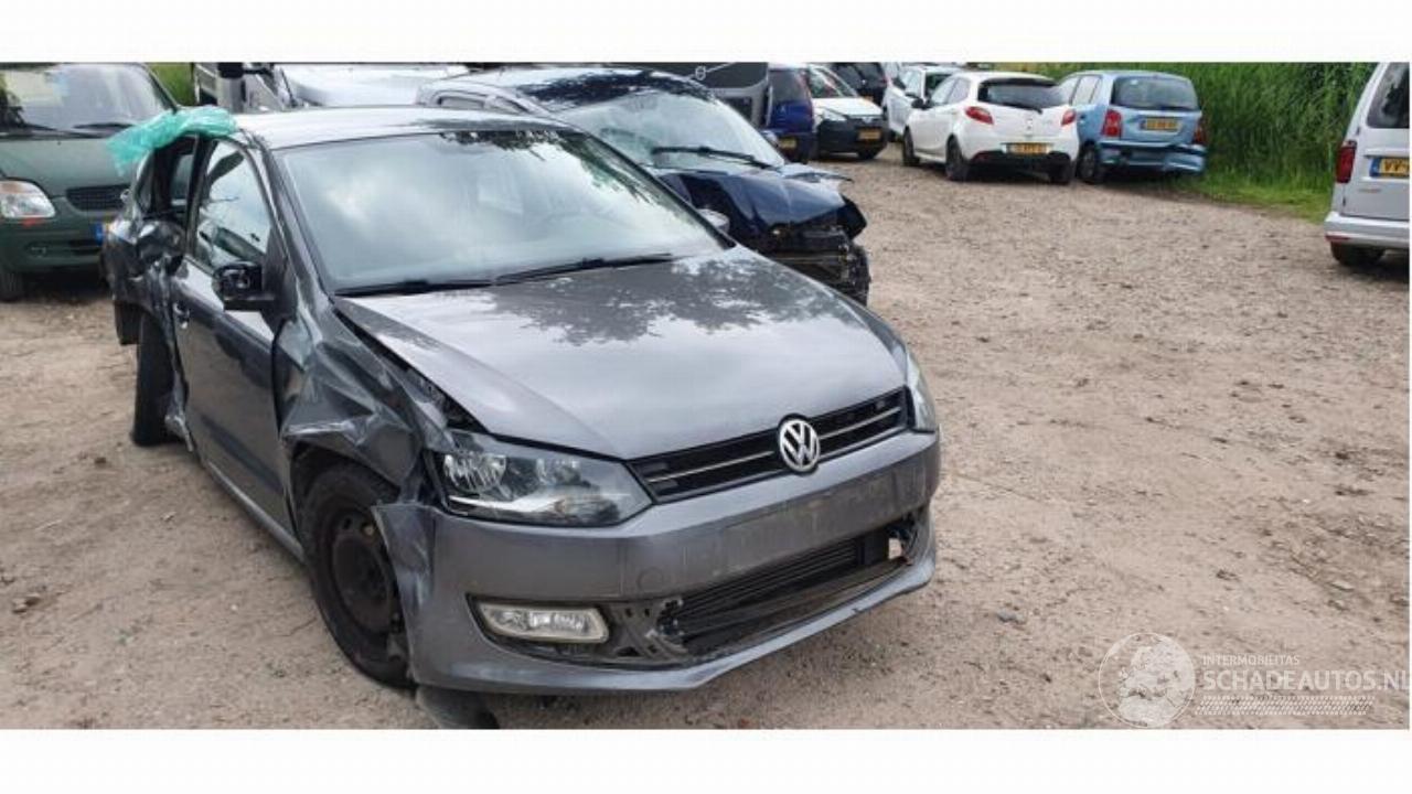 Volkswagen Polo Polo V (6R), Hatchback, 2009 / 2017 1.6 TDI 16V 90